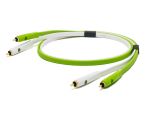 Neo d + RCA Class B Stereo RCA / RCA 1m.