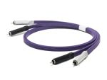 Neo d + RCA Class S Stereo RCA / 1.0m